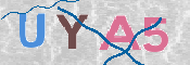 画像に表示された文字を入力して下さい