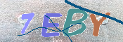 画像に表示された文字を入力して下さい