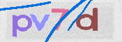画像に表示された文字を入力して下さい