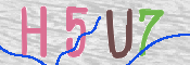 画像に表示された文字を入力して下さい