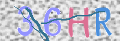 画像に表示された文字を入力して下さい