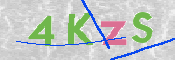 画像に表示された文字を入力して下さい
