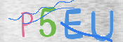 画像に表示された文字を入力して下さい