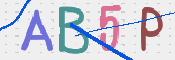 画像に表示された文字を入力して下さい