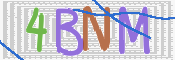 画像に表示された文字を入力して下さい