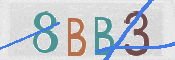 画像に表示された文字を入力して下さい