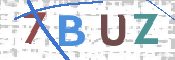 画像に表示された文字を入力して下さい