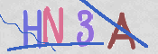 画像に表示された文字を入力して下さい