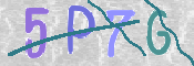 画像に表示された文字を入力して下さい
