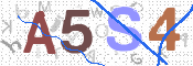 画像に表示された文字を入力して下さい