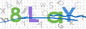 画像に表示された文字を入力して下さい