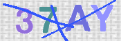 画像に表示された文字を入力して下さい