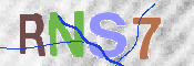 画像に表示された文字を入力して下さい