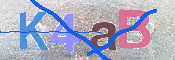画像に表示された文字を入力して下さい