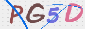 画像に表示された文字を入力して下さい