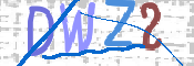 画像に表示された文字を入力して下さい