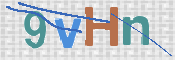 画像に表示された文字を入力して下さい