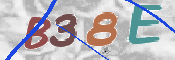 画像に表示された文字を入力して下さい