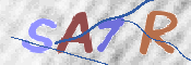 画像に表示された文字を入力して下さい