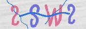 画像に表示された文字を入力して下さい