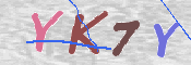画像に表示された文字を入力して下さい