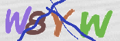 画像に表示された文字を入力して下さい