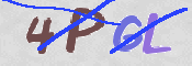 画像に表示された文字を入力して下さい