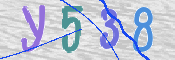 画像に表示された文字を入力して下さい