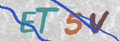 画像に表示された文字を入力して下さい