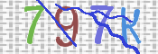 画像に表示された文字を入力して下さい