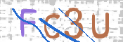 画像に表示された文字を入力して下さい
