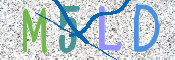 画像に表示された文字を入力して下さい