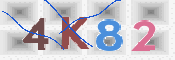 画像に表示された文字を入力して下さい