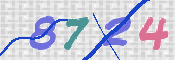 画像に表示された文字を入力して下さい