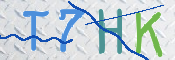 画像に表示された文字を入力して下さい