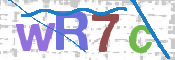 画像に表示された文字を入力して下さい