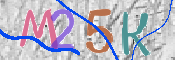 画像に表示された文字を入力して下さい