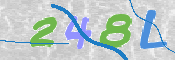 画像に表示された文字を入力して下さい