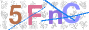 画像に表示された文字を入力して下さい