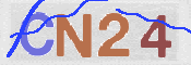 画像に表示された文字を入力して下さい