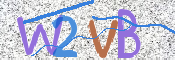 画像に表示された文字を入力して下さい