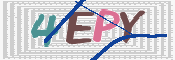 画像に表示された文字を入力して下さい