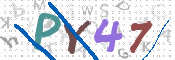 画像に表示された文字を入力して下さい