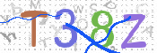 画像に表示された文字を入力して下さい