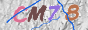 画像に表示された文字を入力して下さい