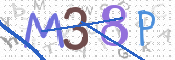 画像に表示された文字を入力して下さい