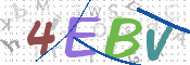 画像に表示された文字を入力して下さい