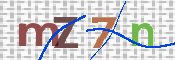 画像に表示された文字を入力して下さい