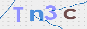 画像に表示された文字を入力して下さい