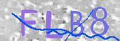 画像に表示された文字を入力して下さい